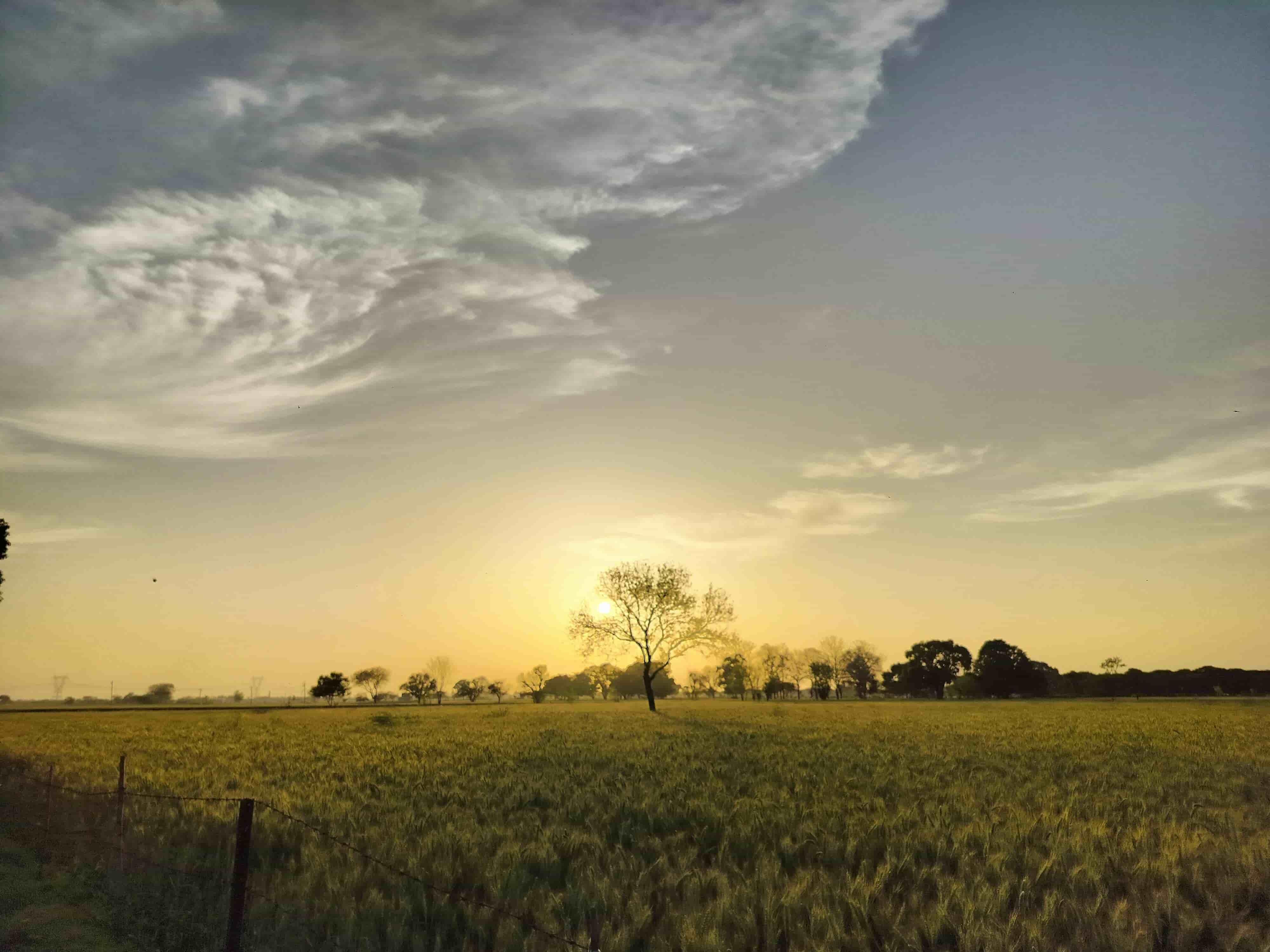 Healthy natural environment